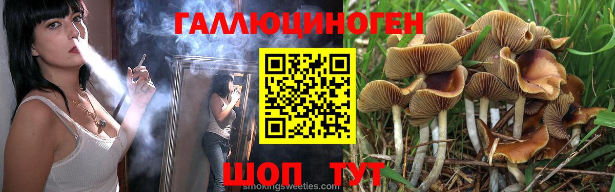 Псилоцибиновые грибы Psilocybe  Вход с VPN  Псилоцибиновые грибы ЛСД  Новосибирск 